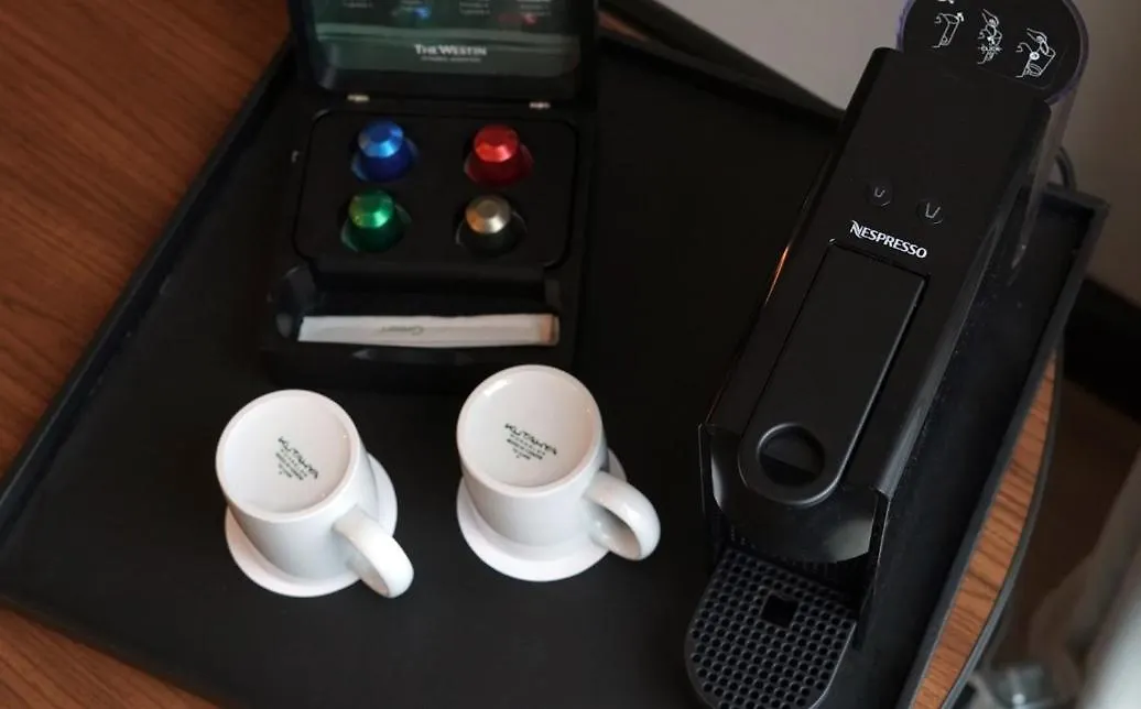 ホテル The Westin Istanbul Nisantasi